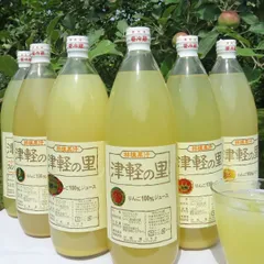 青森県産100%りんごジュース｢津軽の里｣（1L×12本）のサムネイル