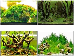 2023年最新】水槽バックスクリーンの人気アイテム - メルカリ