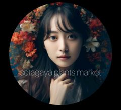 A5154大特価！10株セット！スーパー兜 - メルカリ