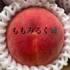 甘くて美味しい福島の桃あかつき 七月下旬〜お届け - メルカリ