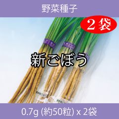 野菜種子 ECO 新ごぼう 0.7g (約50粒) x 2袋