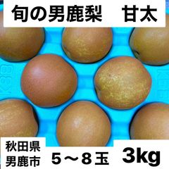 男鹿梨「甘太」3kg 【家庭用】  大将梨園　秋田県男鹿市産