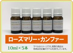 ローズマリー・カンファー　10ml×5本（アロマストーンプレゼント）