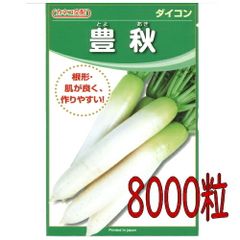 カネコ種苗　豊秋　大根　８０００粒