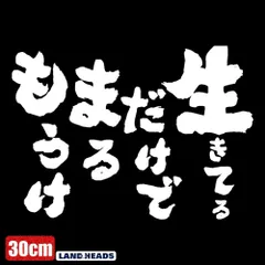 車 ステッカー 30cm  生きているだけでまるもうけ 名言 言葉 給油口 おもしろ バイク かっこいい カー用品 かわいい シール おしゃれ 転写式 白 送料無料のサムネイル