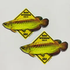 2026年最新】アロワナの人気アイテム - メルカリ