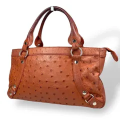 【B3216】 ハンドバッグ トートバッグ オーストリッチ エキゾチックレザー オレンジ 本革 ダチョウ ジップデザイン マチあり レディース