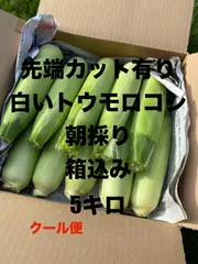 朝採り　クール便　ホワイトショコラ　白いトウモロコシ　訳アリ　箱込5キロ　スイートコーン　　生で食べられるのサムネイル
