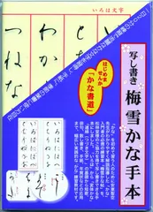 神戸市立博物館所蔵 聖空作品集　初版　安東聖空　Seiku Ando　梅雪 聖空作品集(安東聖空 著) / 古本、中古本、古書籍の通販は「日本
