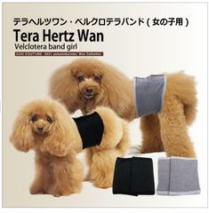 Item thumbnail for item 5c6d1382-b377-48b3-afc2-c6cddbc9f088