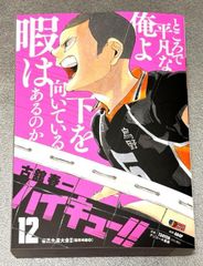 ハイキュー!! 12: 集英社REMIX (集英社ジャンプリミックス) 古舘春一