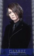 ANDROGYNOUS 2017 DVD 豪華版未開封品　フライヤー 2025年最新】androgynos dvdの人気アイテム - メルカリ