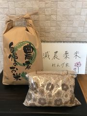 令和4年度産　減農薬米ヒノヒカリ　白米6.5キロと玄米2.5キロのセット