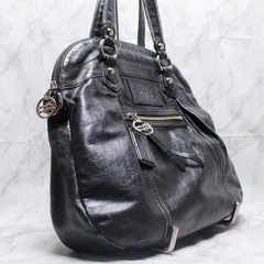 COACH アクセサリーポーチ ワンショルダーバッグ y2k コーチ ポピー 極美品✨コーチ ワンショルダーバッグ シグネチャー レザー