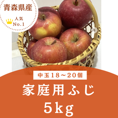 青森県産　家庭用ふじ　5k箱　中玉18〜20個　5kg