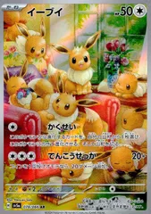 078/066/SV5A/B/AR イーブイ