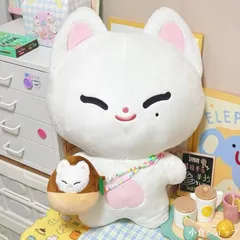 enhpyen ソヌ　45cm ぬいぐるみ　新品　マスター 2026年最新】EnhyPen ソヌ ぬいぐるみ マスターの人気アイテム - メルカリ