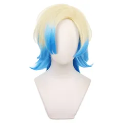 2026年最新】カイザー ウィッグの人気アイテム - メルカリ