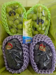 こだま様専用クール便