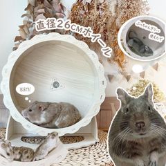 ②小動物ケージ＊24cm回し車付き　リス、モモンガ、デグーなど 楽天市場】リス ケージ（種類（小動物）デグー）の通販