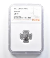 2025年最新】ブリタニア プラチナの人気アイテム - メルカリ