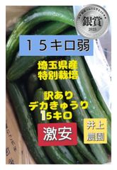 特別栽培！15キロ弱！美味しくて安全でリピーター続出！デカきゅうり！　野菜ソムリエサミット銀賞受賞　農家直送　減農薬　有機肥料　ちょいデカきゅうり　訳あり　15kg