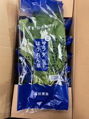 高知県産サラダほうれん草100g20入　☆2