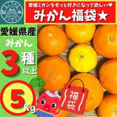 【八百屋の得意分野】愛媛の美味しい★旬のみかん福袋　5Kg