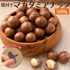マカダミアナッツ 殻付き ５００ｇ 素焼き 専用オープナー付 大容量 ロースト マカデミアナッツ