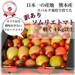 受賞歴３回訳ありソムリエトマト箱込み4.5〜6.5kg（16玉～32玉)おまけ②