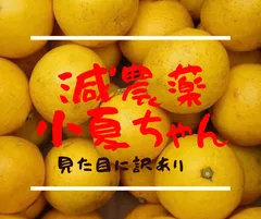 クール便減農薬小夏ちゃん　最終訳あり約5kgのサムネイル