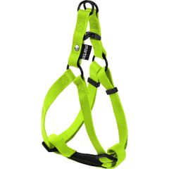 Item thumbnail for item 349fa475-c332-48be-a9af-d9234d78bf77