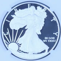 2013年 イーグル銀貨 リバースプルーフ NGC PCGS 純銀 PF RF