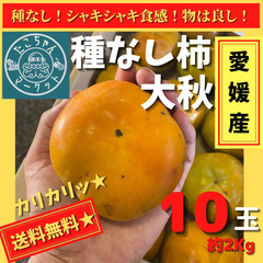 【種なしシャキシャキ！糖度14！】愛媛県産　柿　大秋　10玉　約2.5Kg