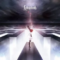 と*わ様 luz CD DVD 17枚　まとめ売り　限定盤複数　歌い手　廃盤 2025年最新】luz Labyrinth CDの人気アイテム - メルカリ