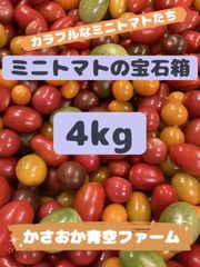 ミニトマトの宝石箱1kg - メルカリ