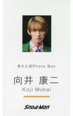 【中古】キャラカード [単品] 向井康二(Snow Man) 名刺カード 「CD Dangerholic 初回盤A」 先着購入特典