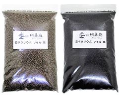 Item thumbnail for item 3562f3c3-8e51-417f-9a0a-21edad413014