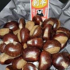 利平栗　10kg