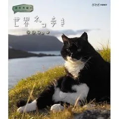 岩合光昭の世界ネコ歩き　ノルウェー　ブルーレイ