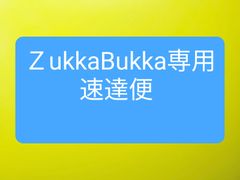速達 らくらくメルカリ便