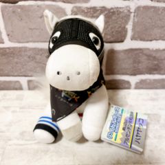 【競馬】ハヤヤッコ　アイドルホース　アルゼンチン共和国杯 アルゼンチン共和国杯 ハヤヤッコ アイドルホース 競馬