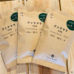 【ポストに届く煎りたて珈琲】グァテマラ　SHB 　　　　100g×3袋
