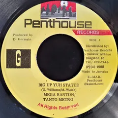 ジャマイカ7” Mega Banton, Tanto Metro Big Up Yuh Status NONE Penthouse Records /00080