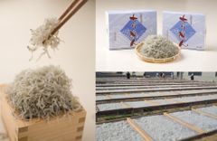 淡路島の無添加 天日干しちりめん500g （化粧箱入）【兵庫県淡路島産】