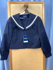 Item thumbnail for item a2836619-f38f-45fd-9d69-71147d16a19f