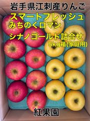 クール便 スマートフレッシュ「みちのくロマン、シナノゴールド」詰合せ5㎏箱（家庭用）