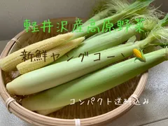 送料込み 新鮮ヤングコーン （おひさまコーン ）信州 軽井沢産高原野菜