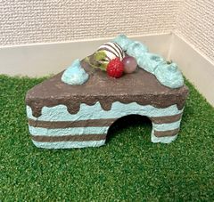 爬虫類シェルター　ケーキ