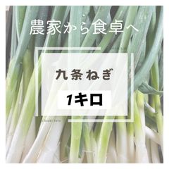 農家直送‼️九条ネギ１キロ‼️甘味が増して美味しくなってます‼️